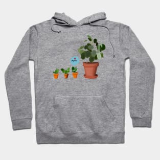 Pilea Mama and Babies Hoodie